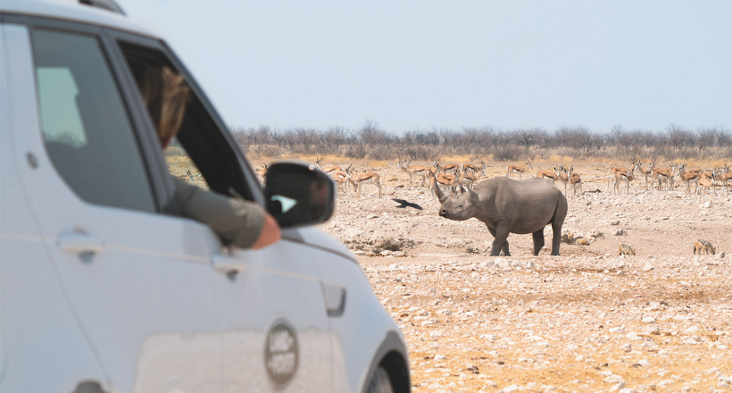 Lái thử xe sang Land Rover tại Hà Nội, cơ hội đi châu Phi