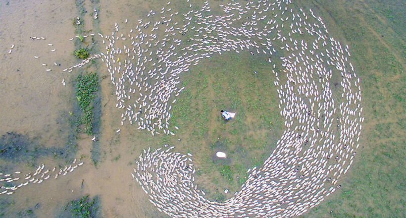 Miền Tây đẹp ngút ngàn mùa nước nổi