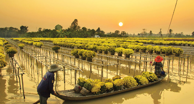 Check-in Sa Đéc, làng hoa lớn nhất miền Tây