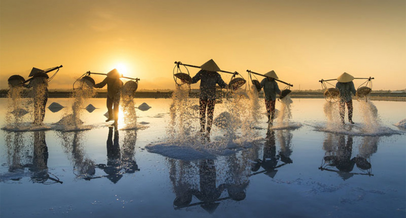 Đẹp ngỡ ngàng cánh đồng muối Bạch Long