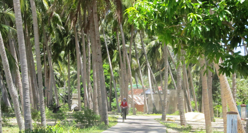 Những điều kỳ lạ ở "xứ sở của những trái dừa"