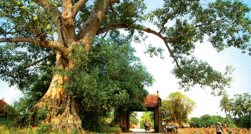 Check-in cổng làng Việt cổ ở Bắc Bộ