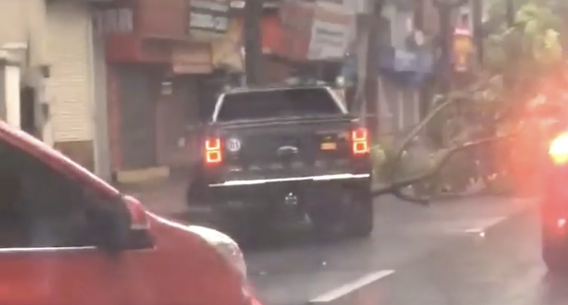 Ford Ranger Raptor hào hiệp ủi cây mở đường trong ngày mưa bão tại Hà Nội