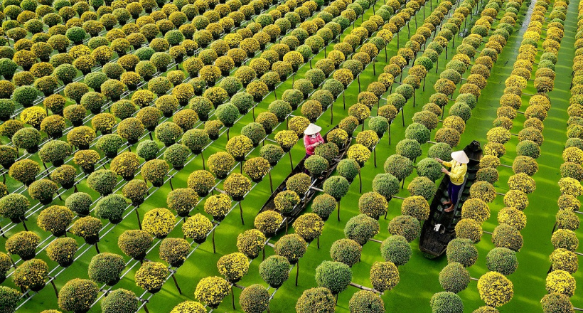 Biển số xe 66 là của tỉnh nào?