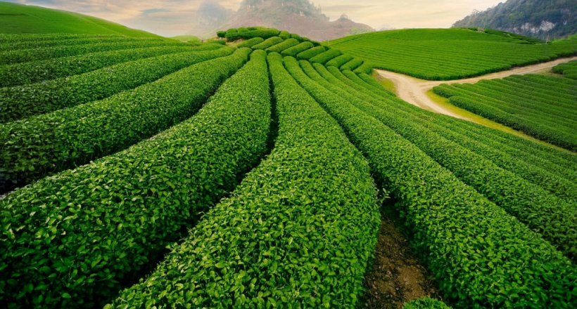 Biển số xe 26 là của tỉnh nào?