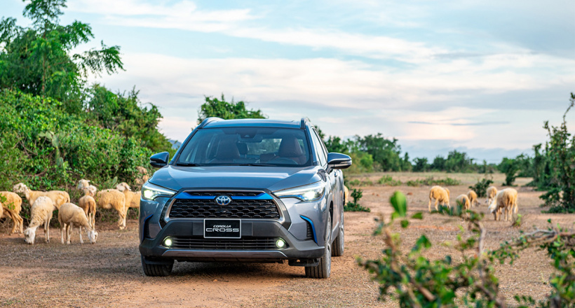 "Điểm mặt" các ông vua của từng phân khúc tại Việt Nam tháng 3/2022