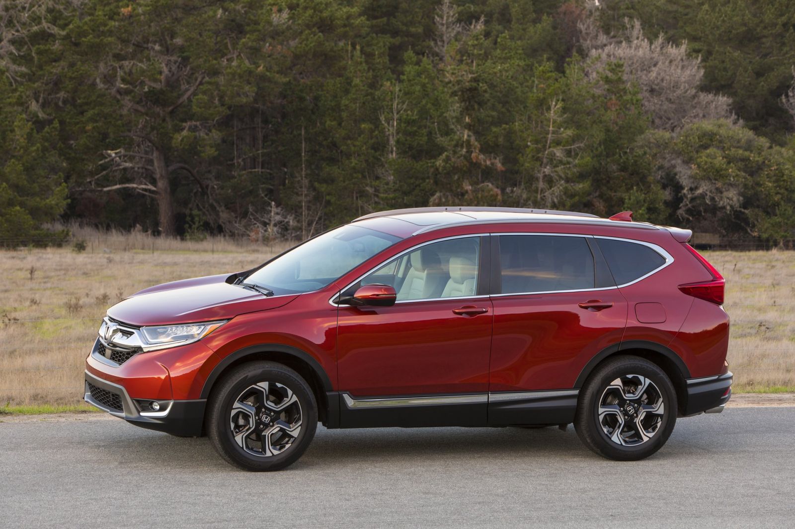 Xe Honda CR-V