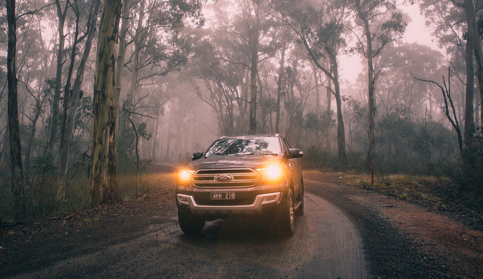 Chế độ thiết lập off-road của xe Ford Everest ngày càng được ưa chuộng