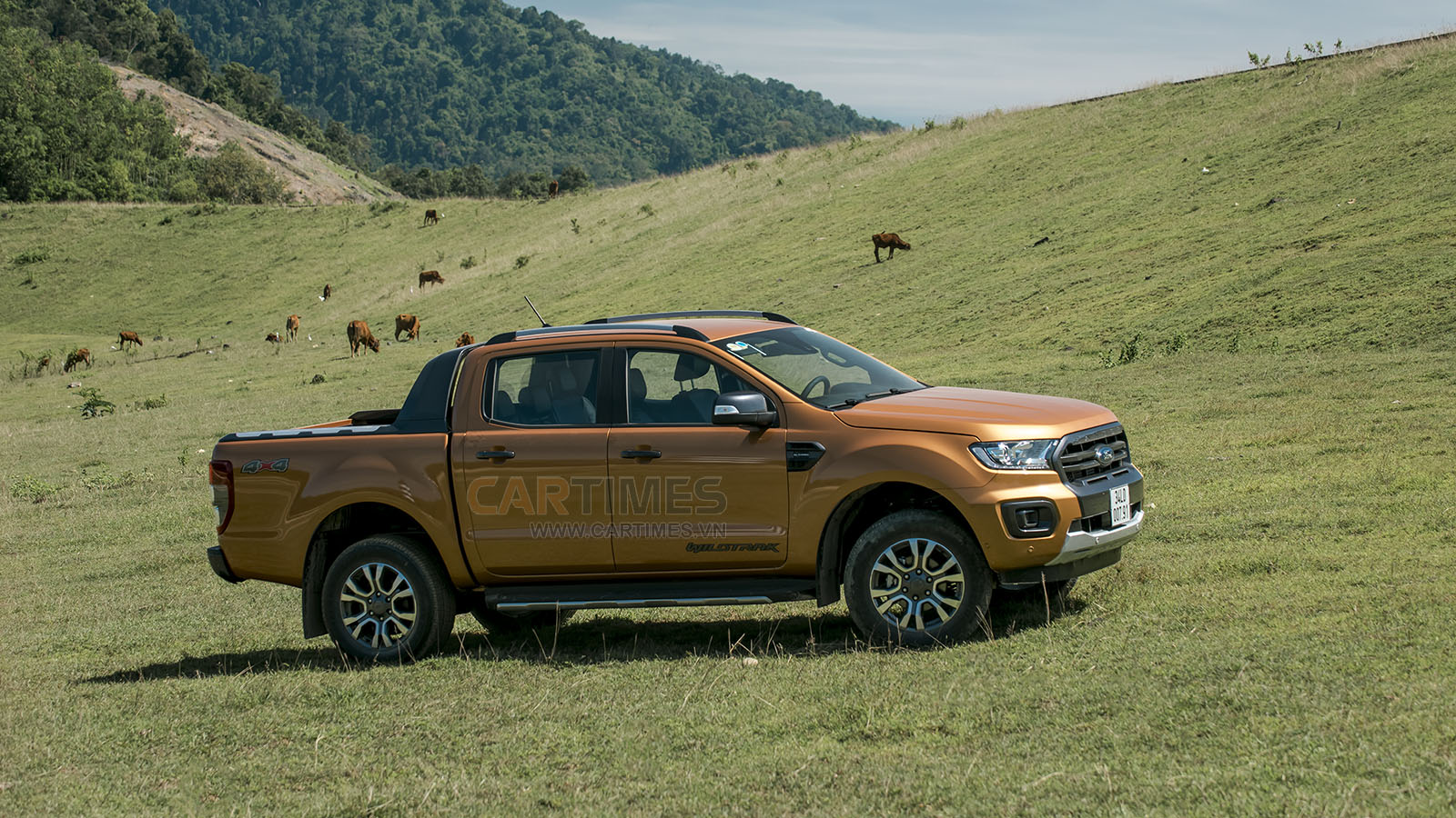 Xe Ford Ranger