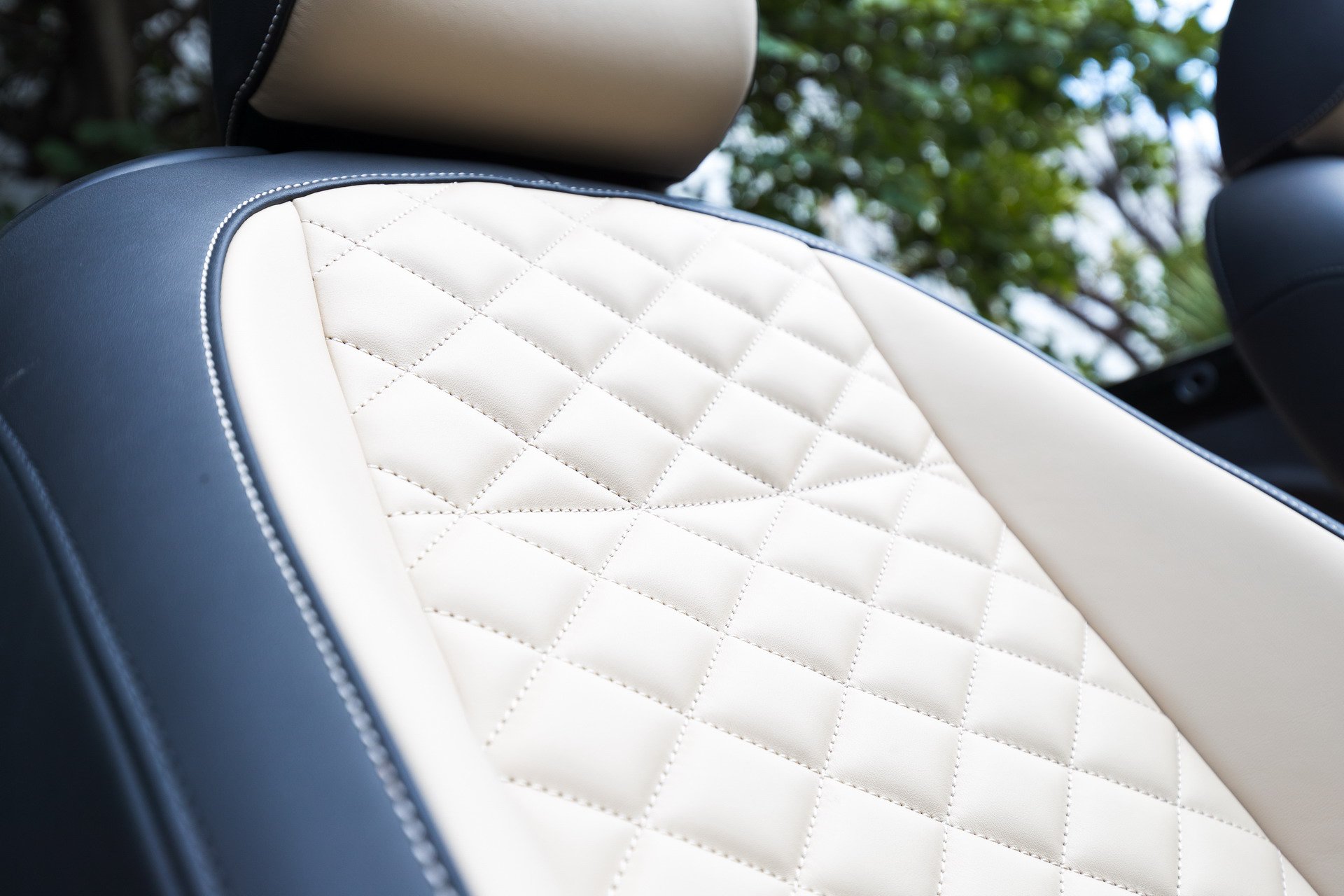 Phiên bản Beetle Edition SEL được bọc da thêu hình quả trám