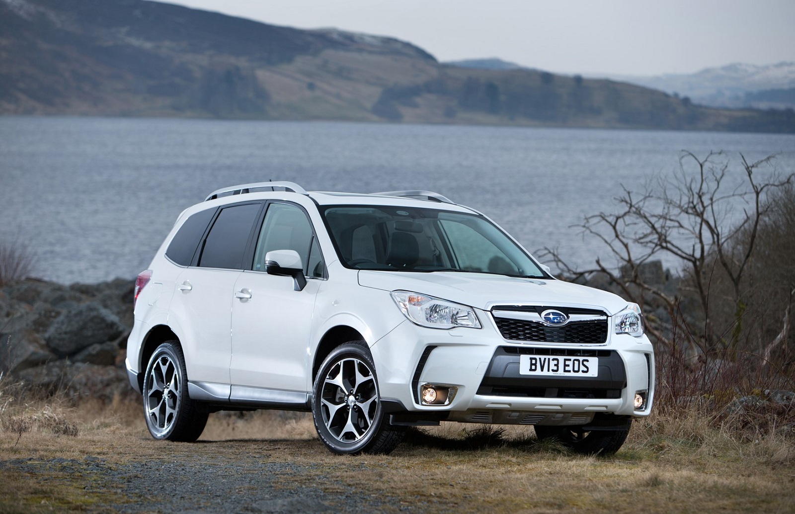 xe Subaru Forester