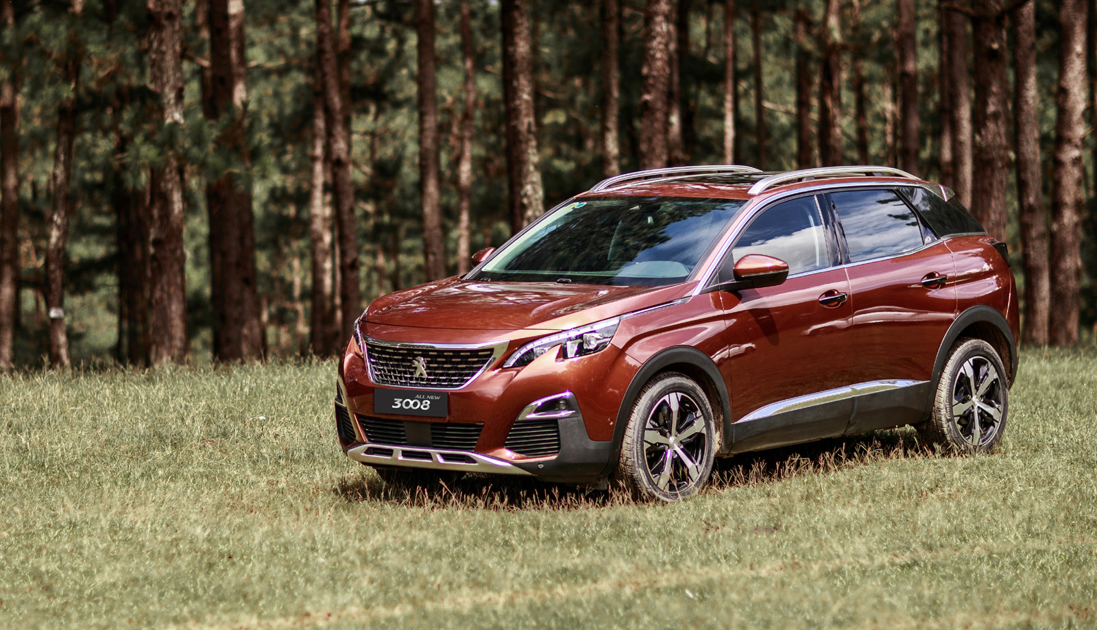 Xe Peugeot 3008