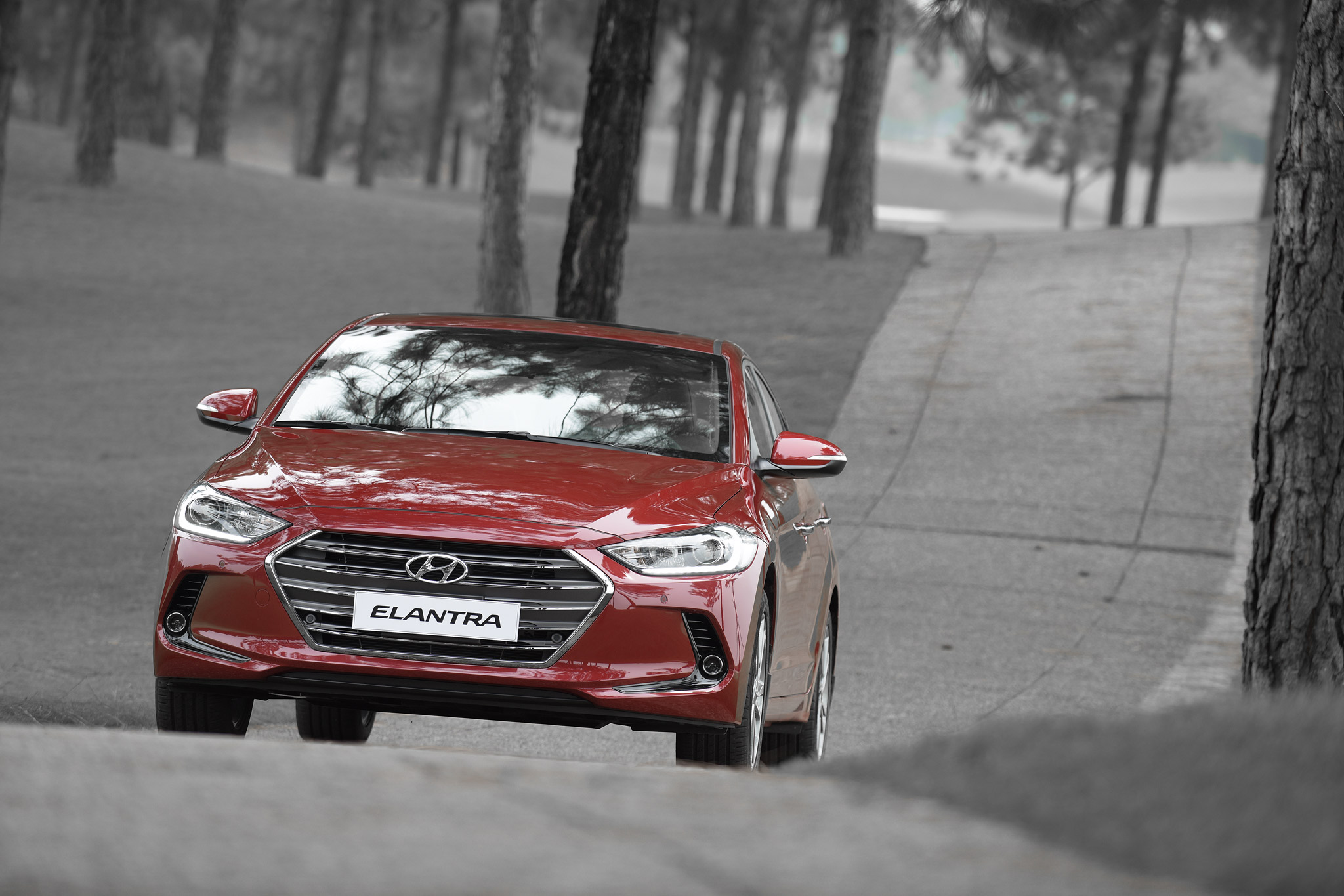 Lưới tản nhiệt lục giác viền mạ chrome đặc trưng không thể nhầm lẫn của Hyundai