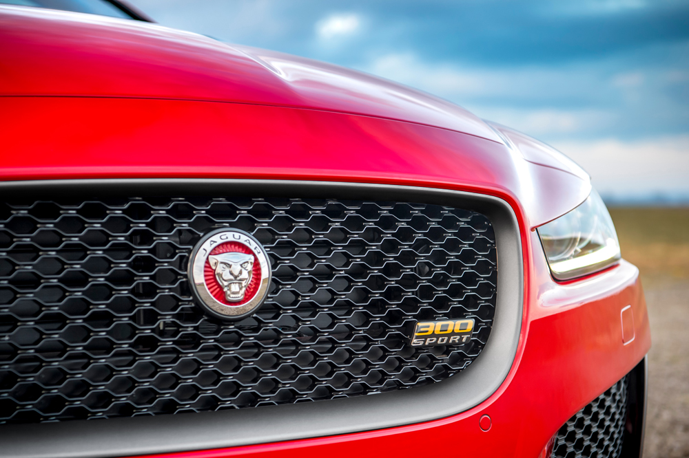 Logo Jaguar (phản quang trên các phiên bản XF),