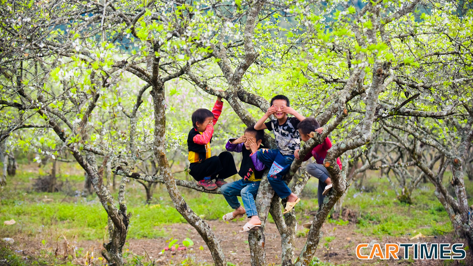 Chúng tôi đặt chân tới Phiêng Cành trùng vào dịp Tết Mông