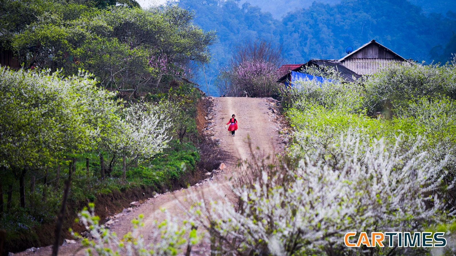 Cảm xúc trên cao nguyên trắng