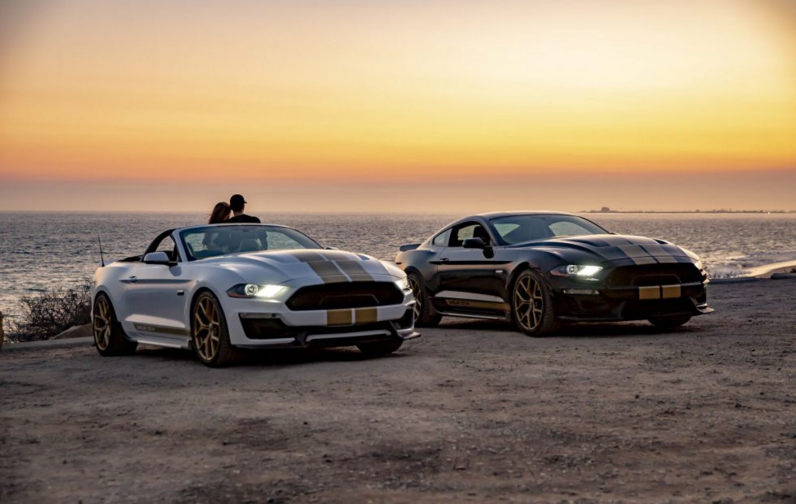 Mẫu Ford Mustang Shelby GT 2019 sẽ có 2 phiên bản hiệu suất cao