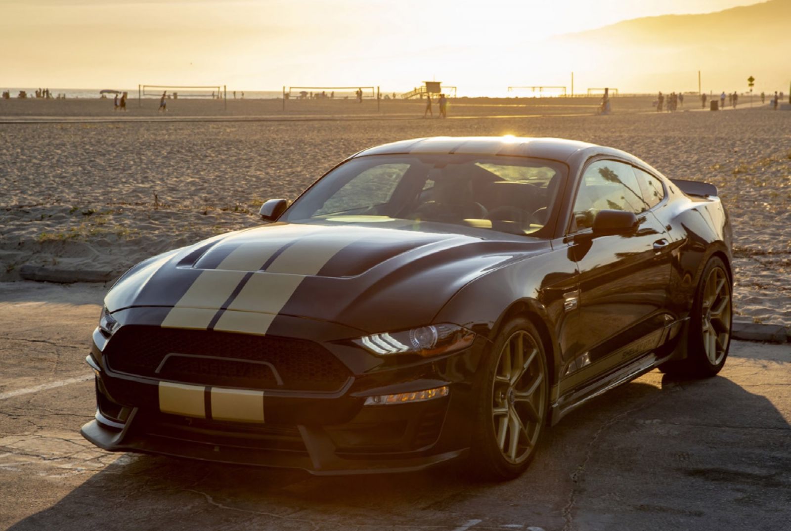 Ford Mustang Shelby GT 2019 phiên bản Heritage