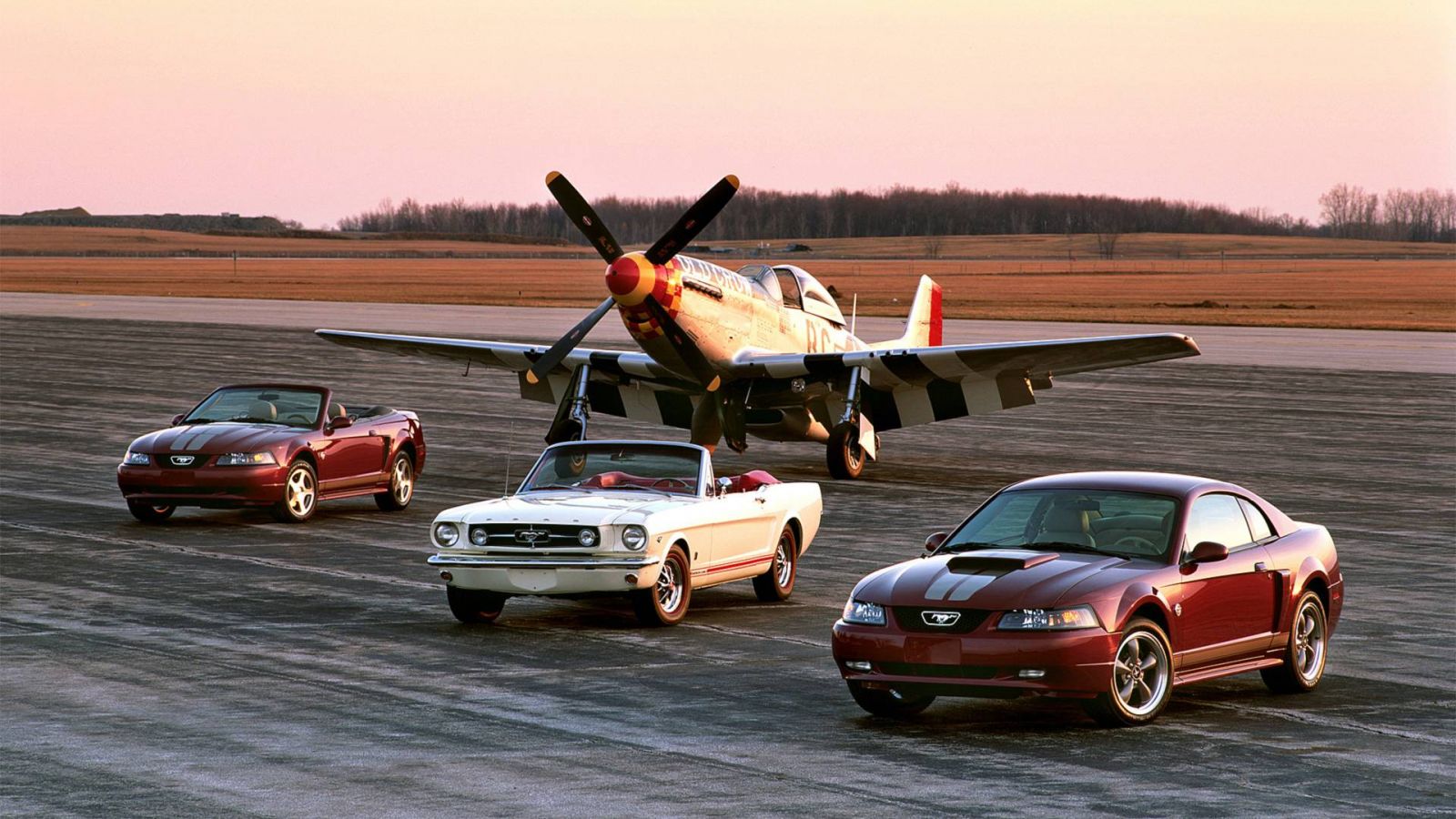 Ford Mustang được lấy tên từ mẫu máy bay chiến đấu P-51 Mustang 