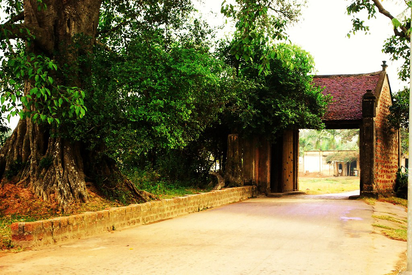 Lái xe về quê