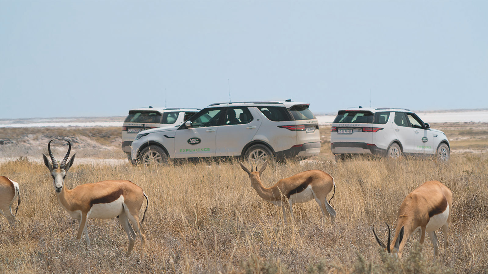 Khách hàng có cơ hội đến Namibia