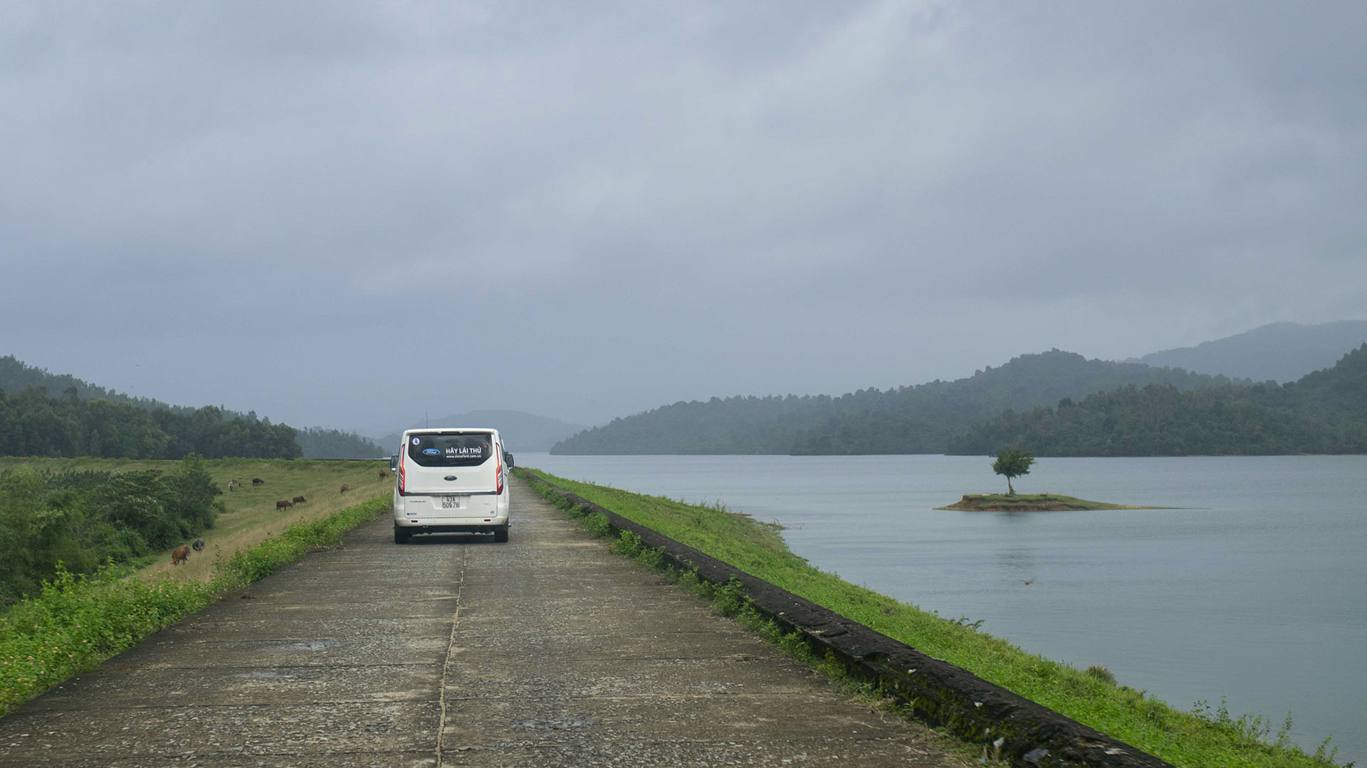 Bức ảnh ấn tượng với chiếc xe Ford Tourneo và cây cô đơn trên mặt hồ