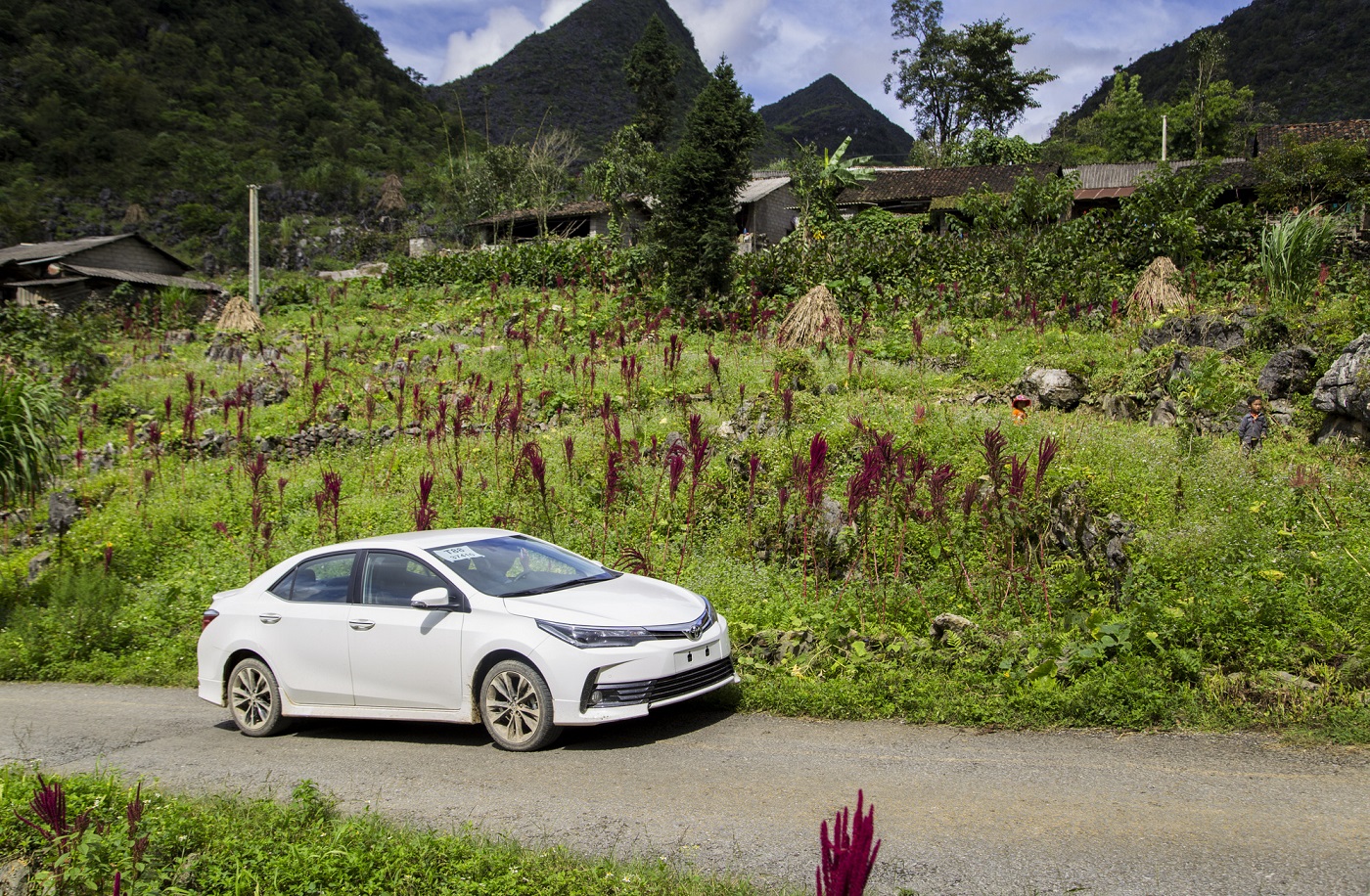Doanh số xe Toyota Altis giảm mạnh so với cùng kỳ năm ngoái