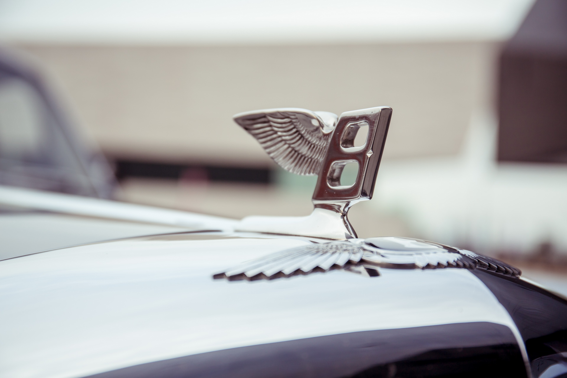 Logo xe Bentley S2 Continental Flying Spur