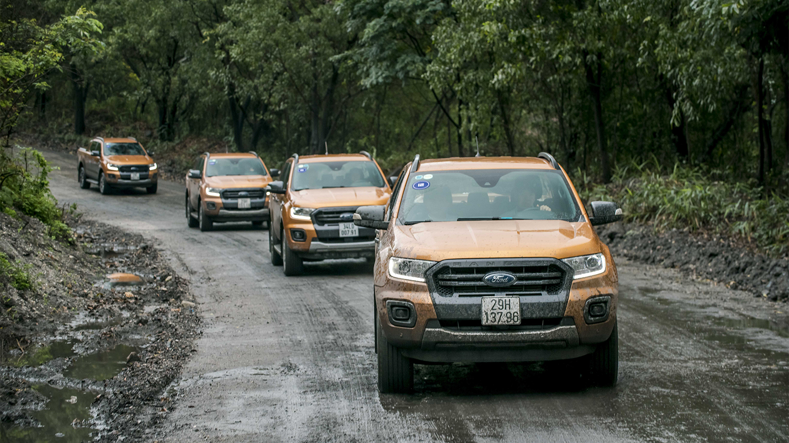 Xe Ford mới năm 2019