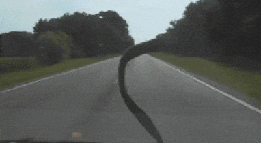 Cảnh sát đua tốc độ rượt đuổi nghẹt thở kẻ cướp xe bán tải Ford