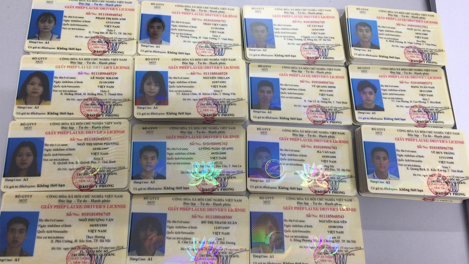 Giấy phép lái xe