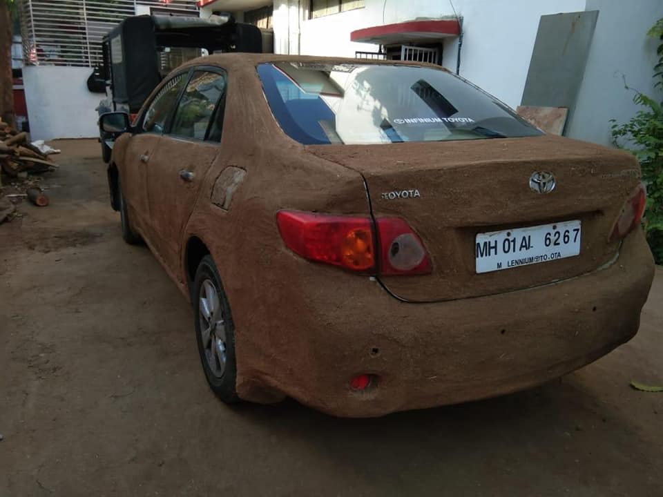 Chiếc Toyota Corolla phủ kín bởi phân bò