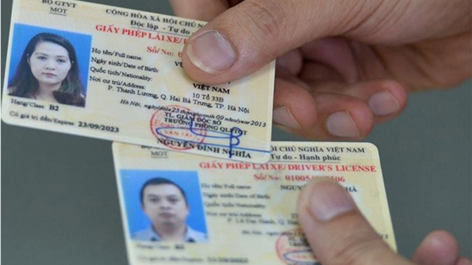 giấy phép lái xe