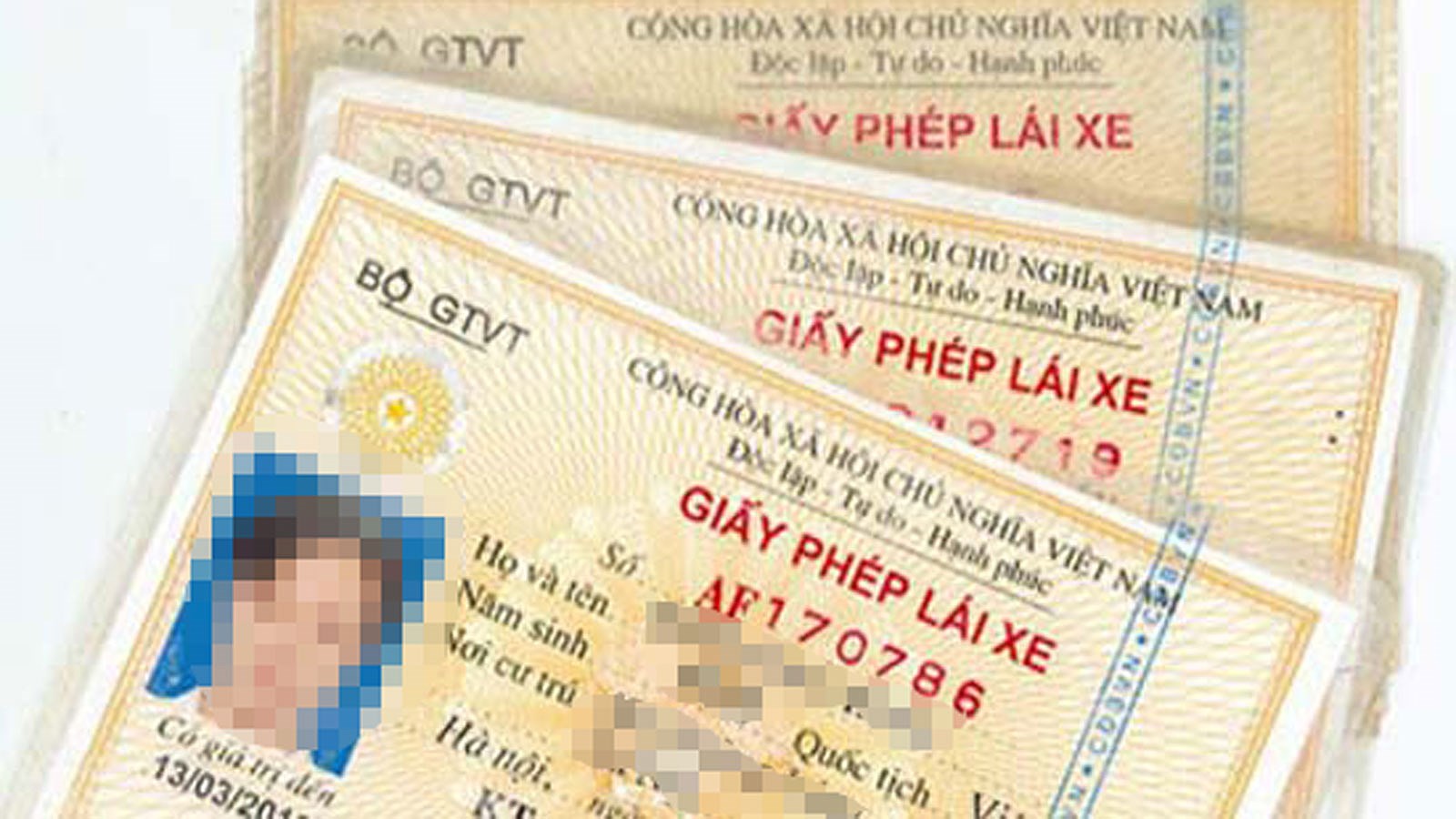 giấy phép lái xe