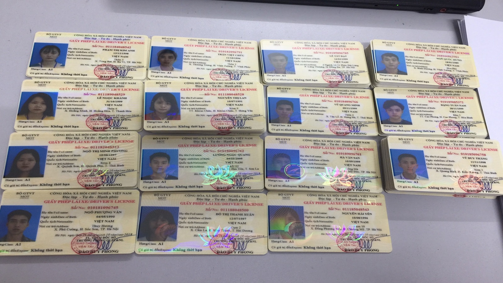 bằng lái xe máy giả