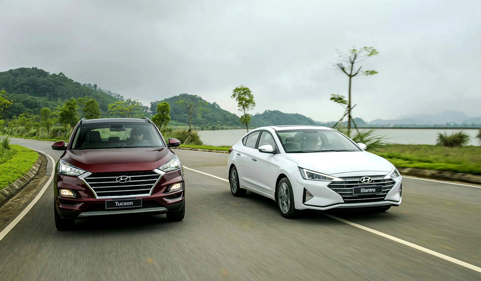 Xe Hyundai Tucson và Elantra 2019