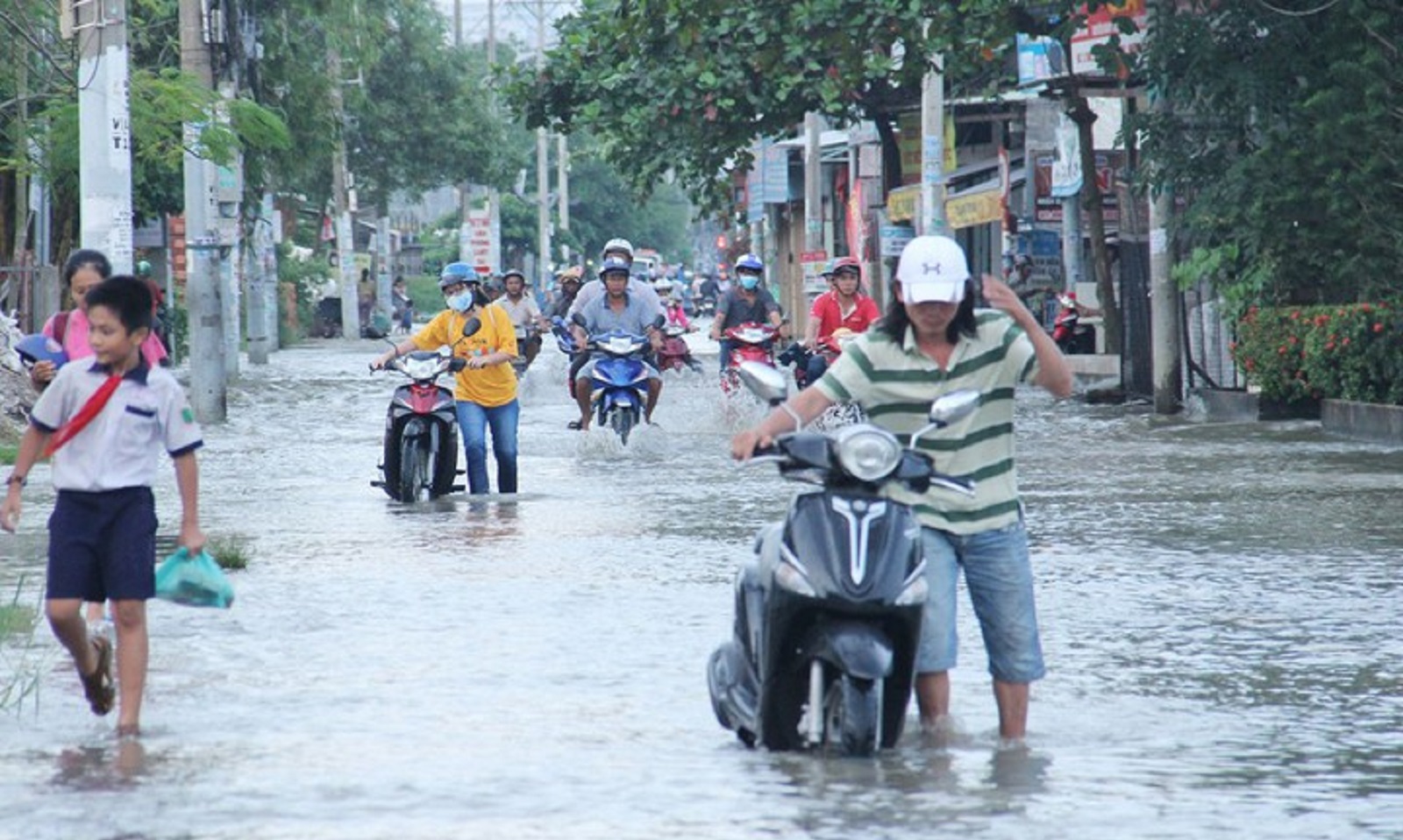 động cơ bị chết máy