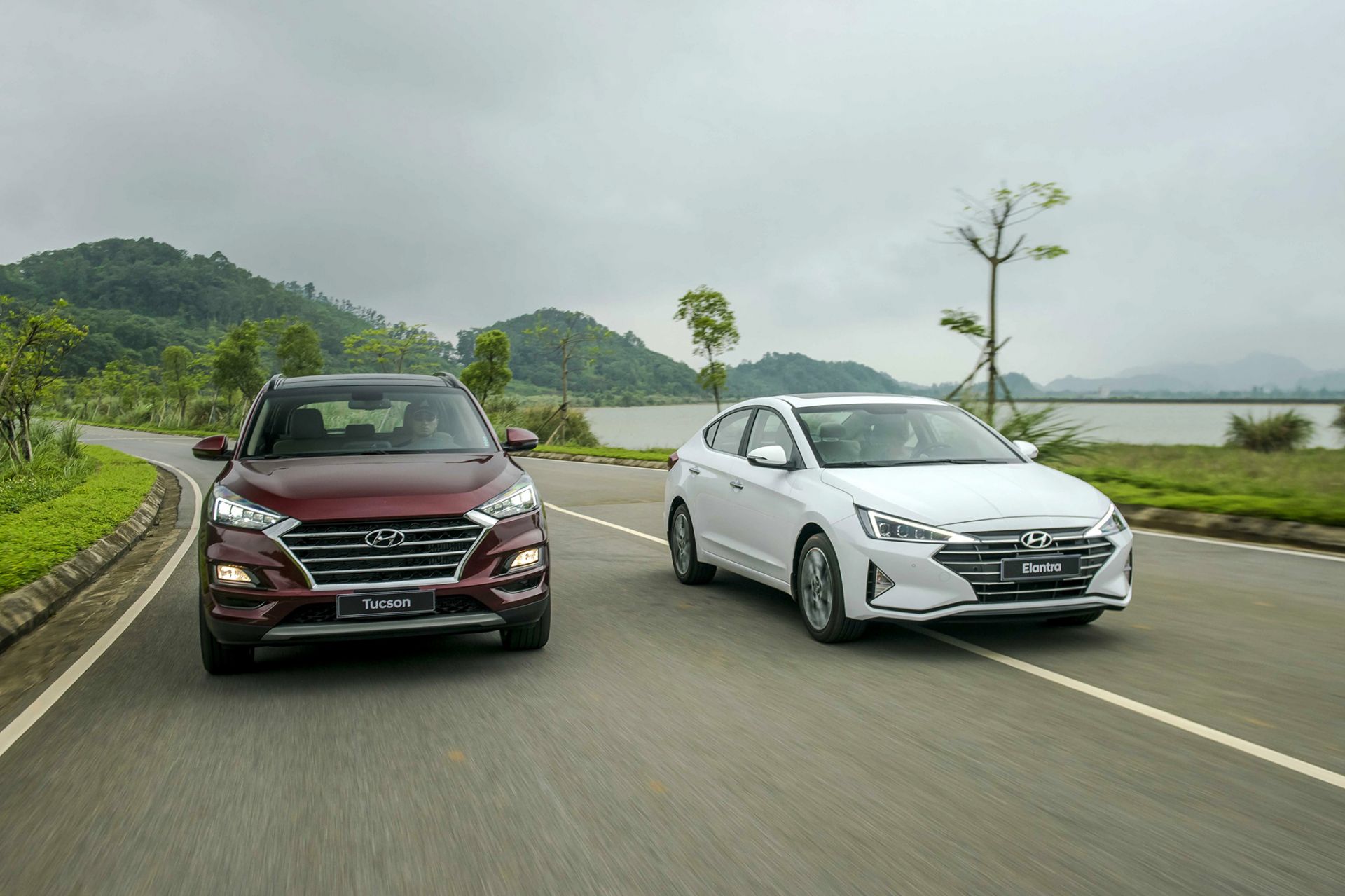 Các dòng xe của Hyundai đều tăng trưởng tốt trong tháng 7/2019