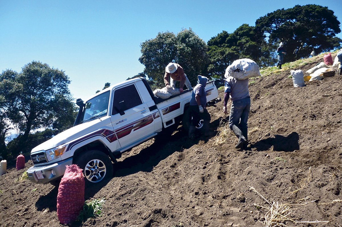 Toyota Land Cruiser phiên bản thùng to chở đồ