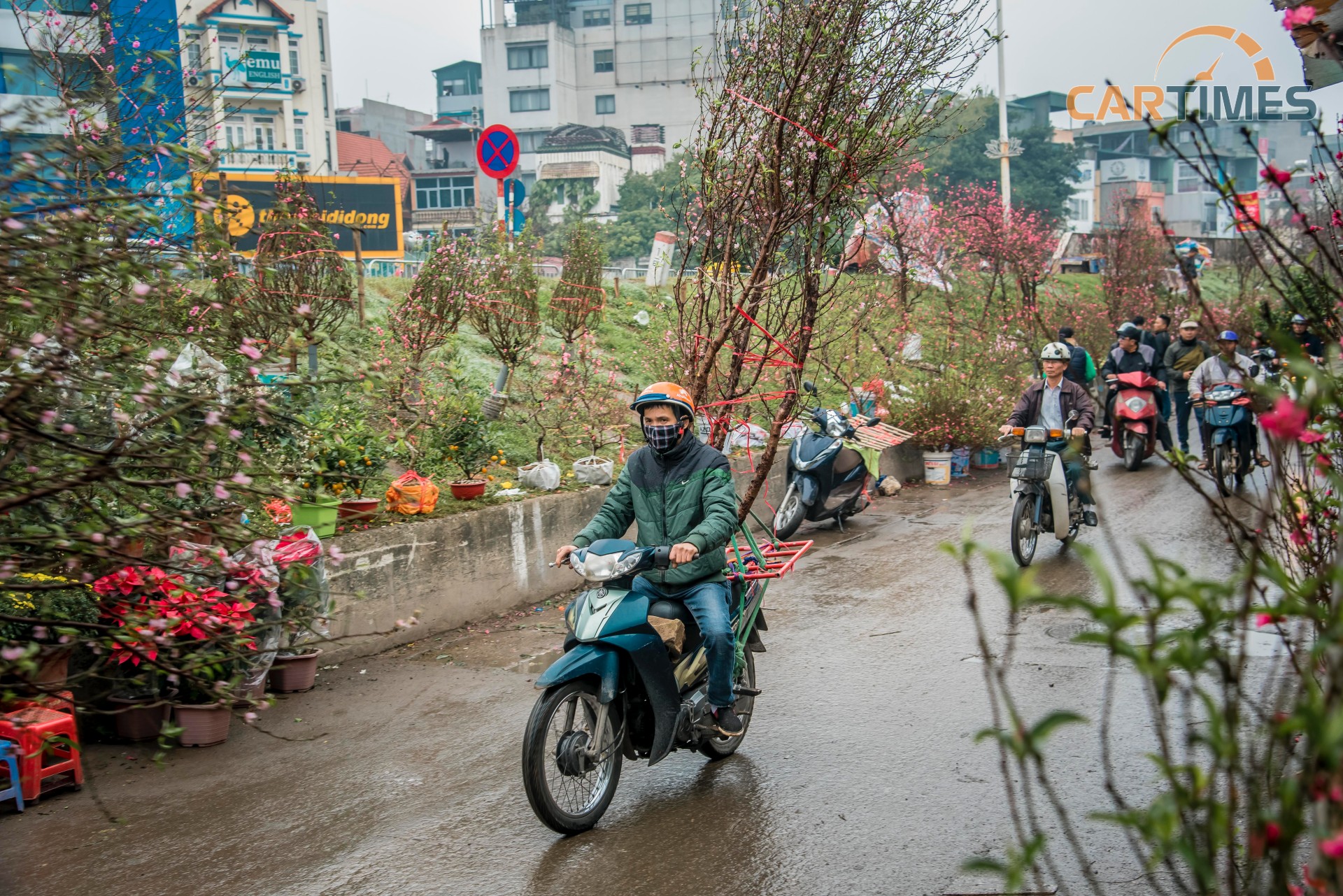 Các bác tài chở đào thuê vẫn cần mẫn chở theo yêu cầu của chủ vườn đi các nơi