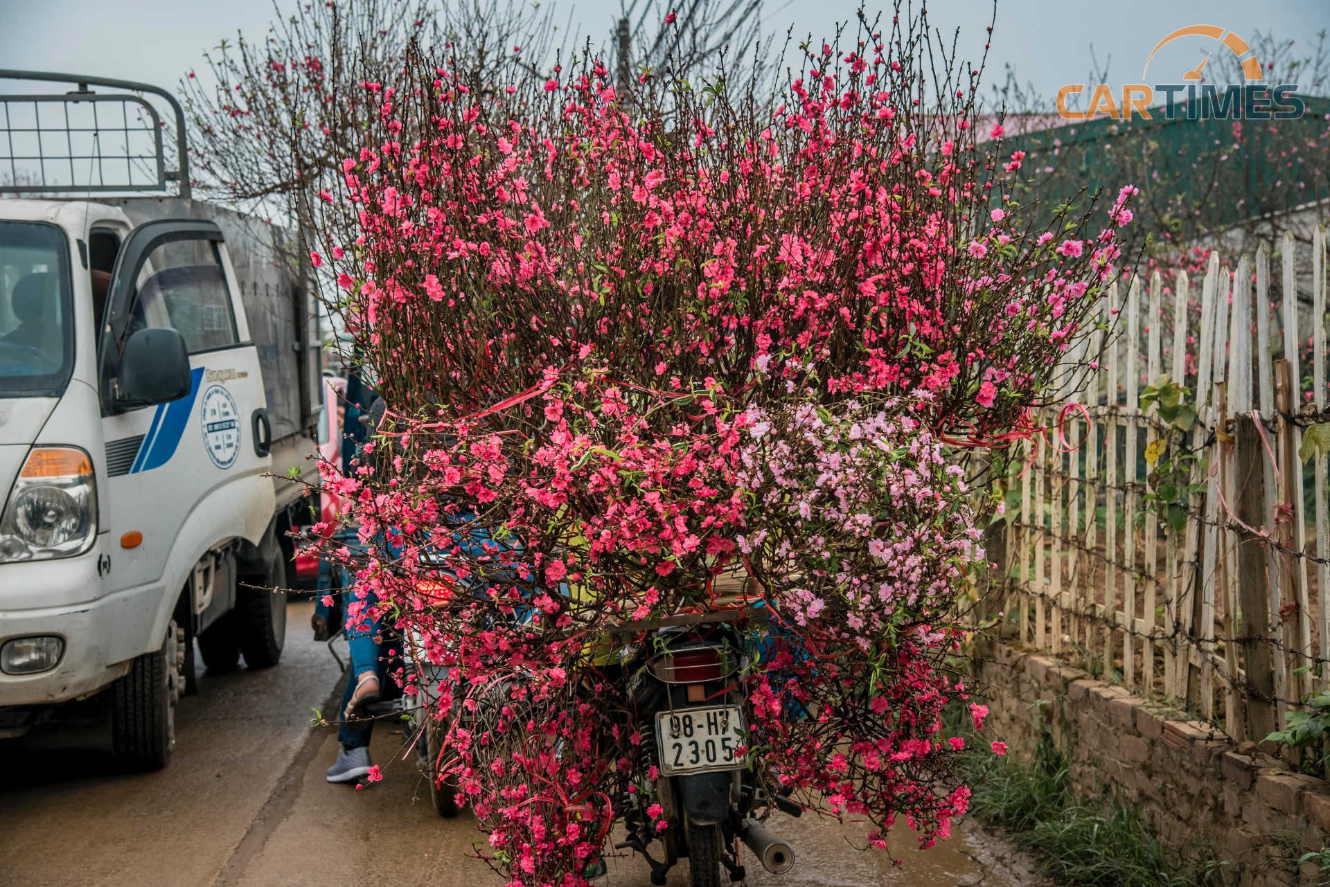 Có những lái xe chở hàng chục cành đào