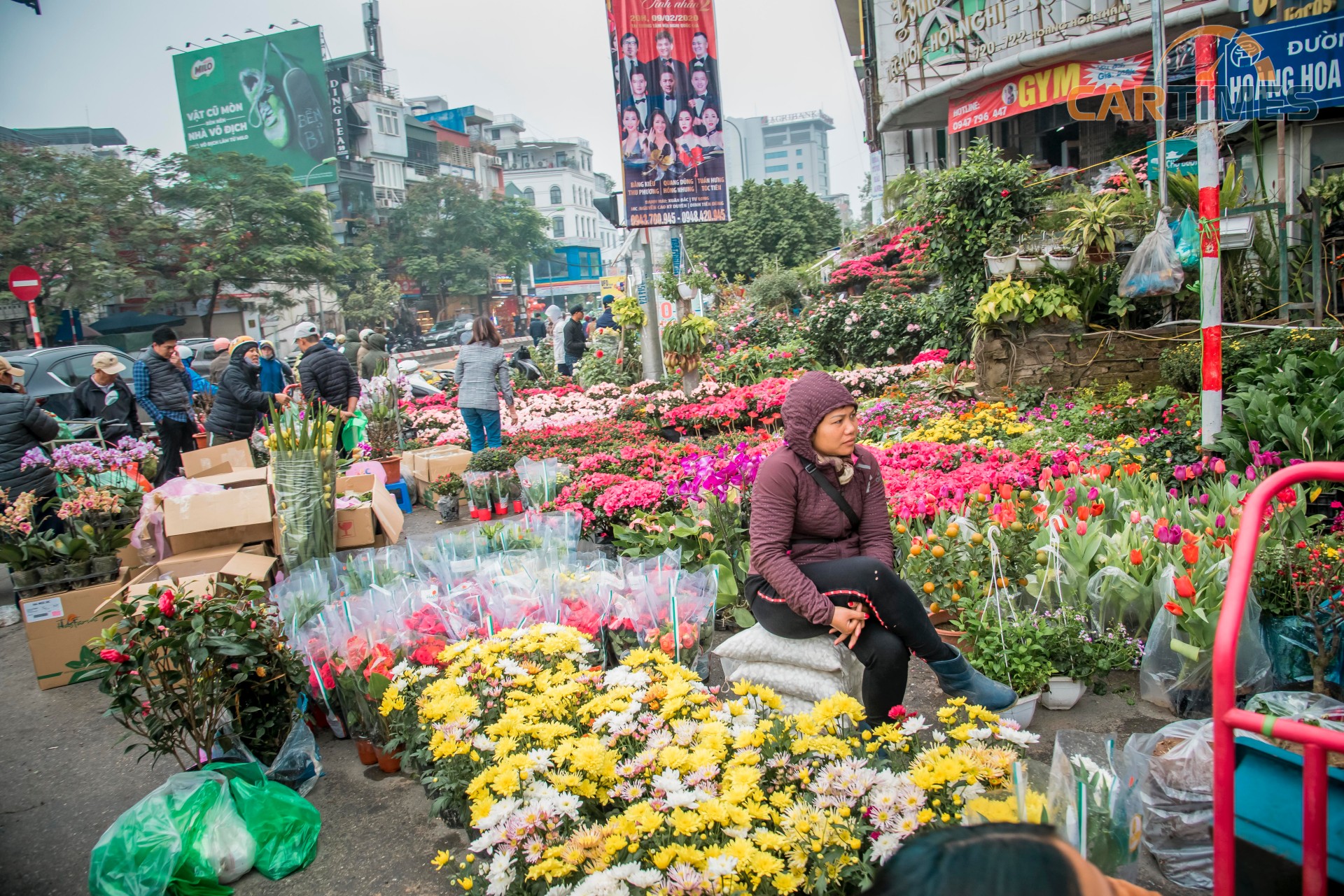 Ở các khu vực Hoàng Hoa Thám hay Thuỵ Khuê nhộn nhịp hơn thường lệ