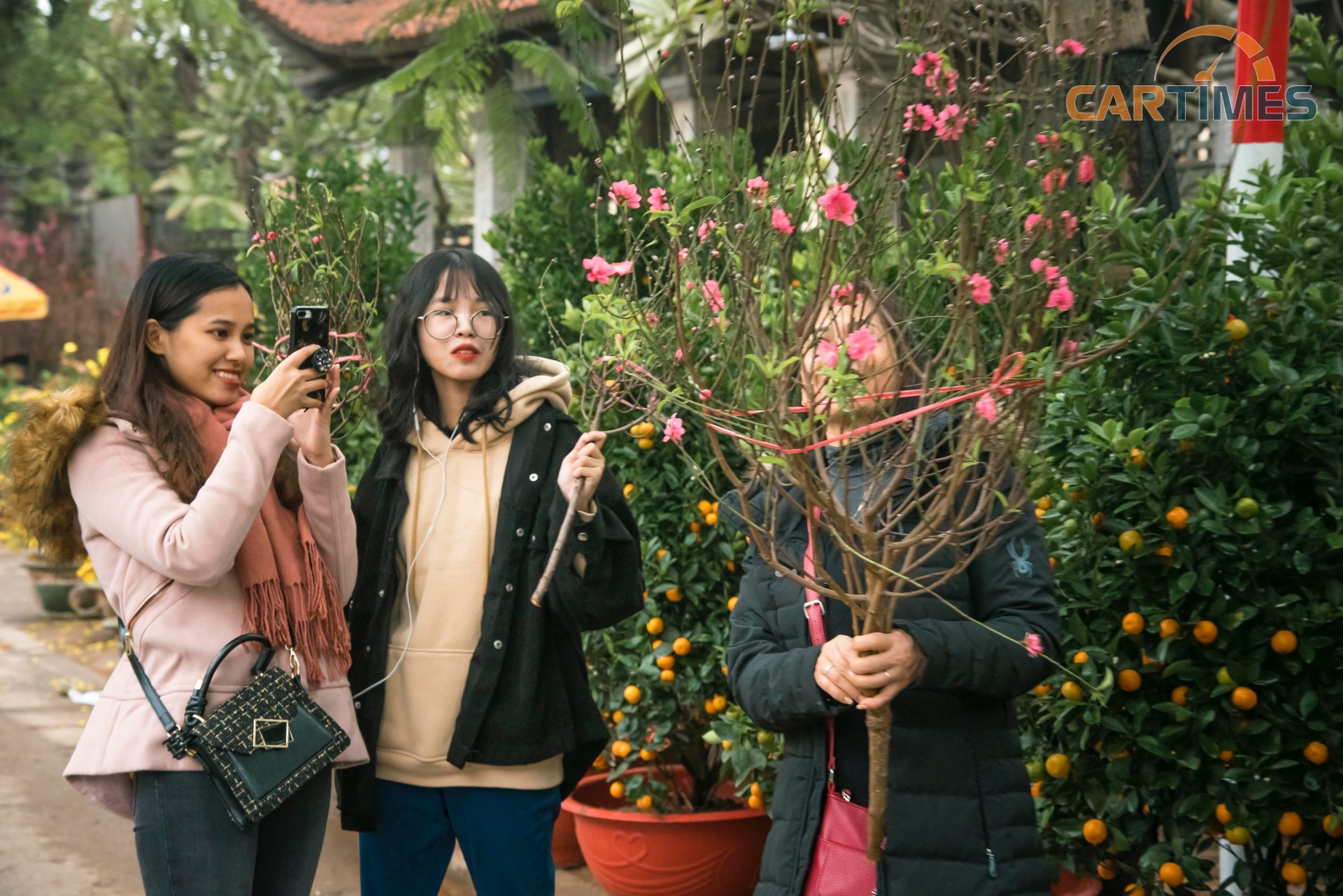 Nhiều người lên chợ hoa chỉ để ngắm hoa, thưởng thức không khí Tết