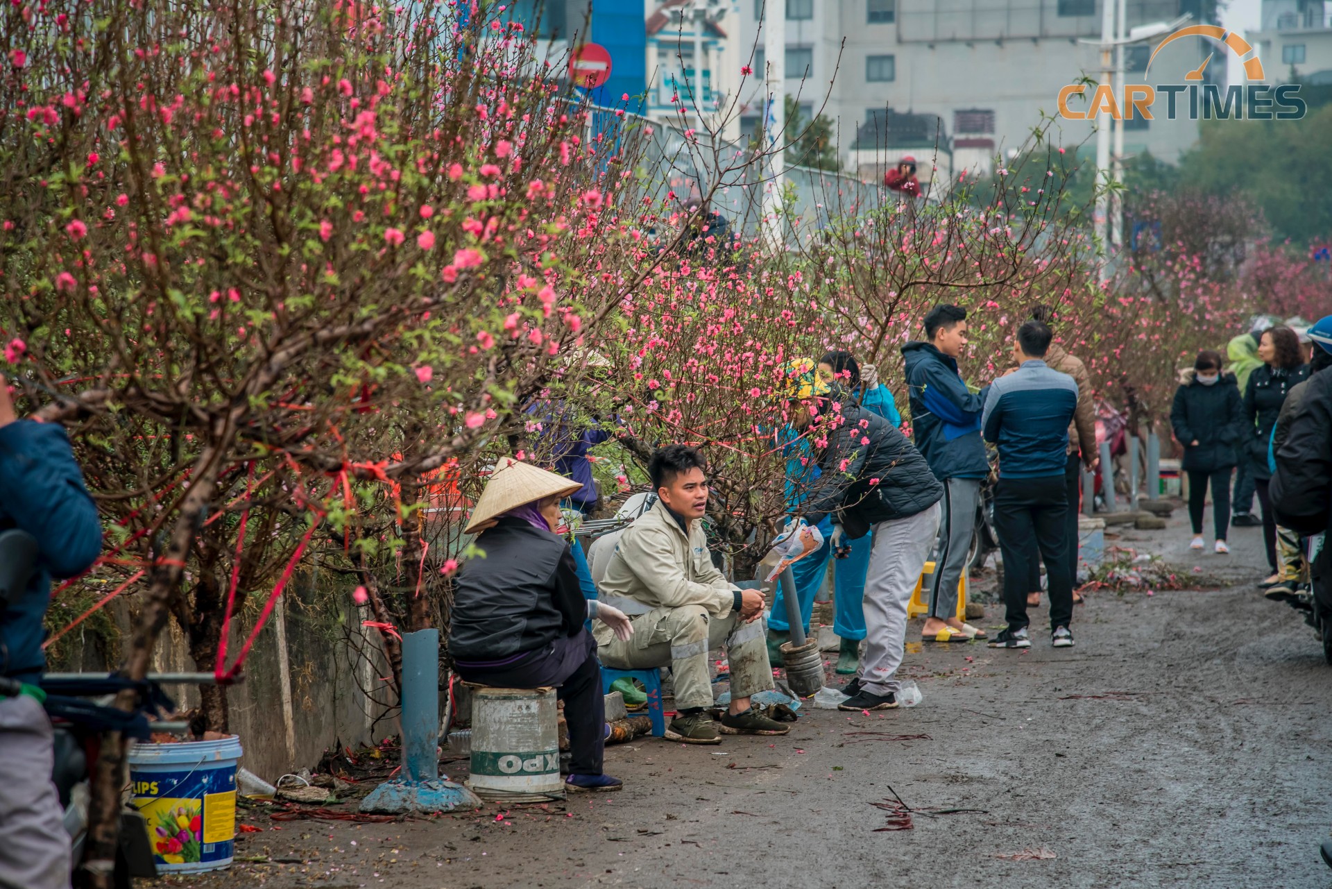 Chợ hoa Quảng Bá tràn ngập các loại cây, hoa cảnh bày bán