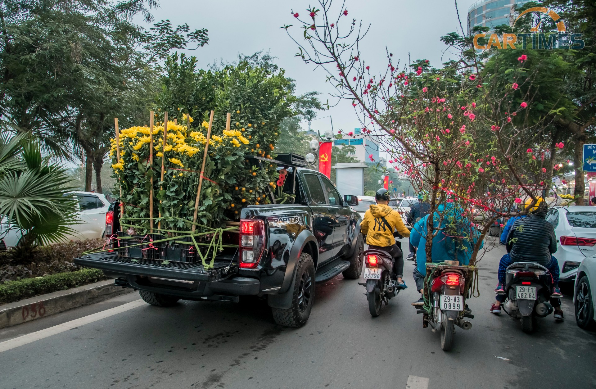 Những chuyến xe chở cây nhộn nhịp ở khu vực Hồ Tây