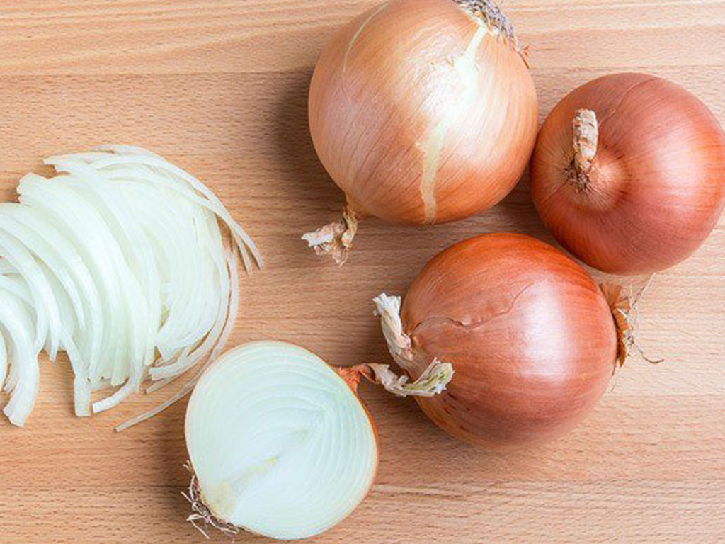 Kinh nghiệm diệt gián trên xe ô tô