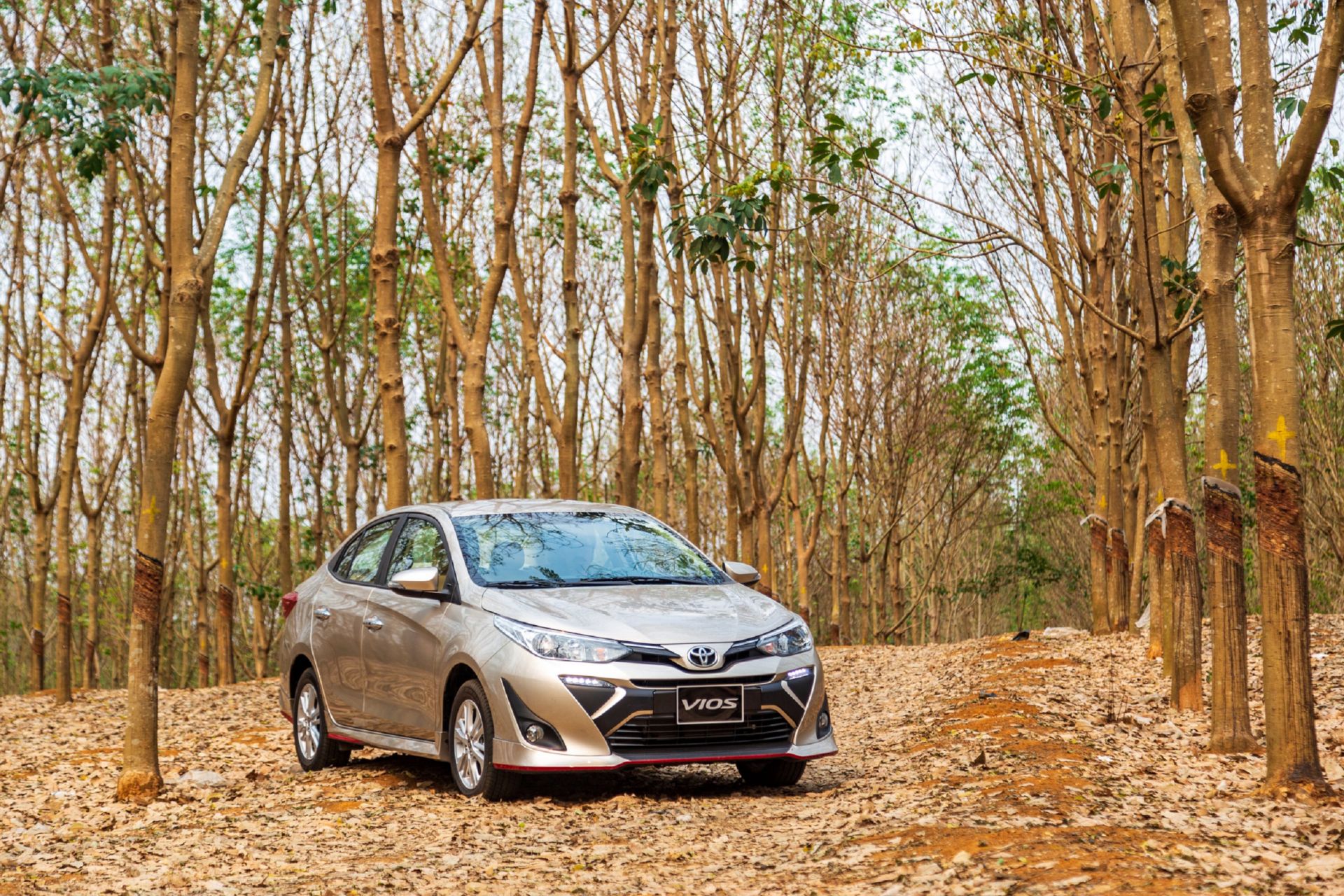 Vios lập kỷ lục doanh số, đưa Toyota 'thăng hoa' trong tháng 10
