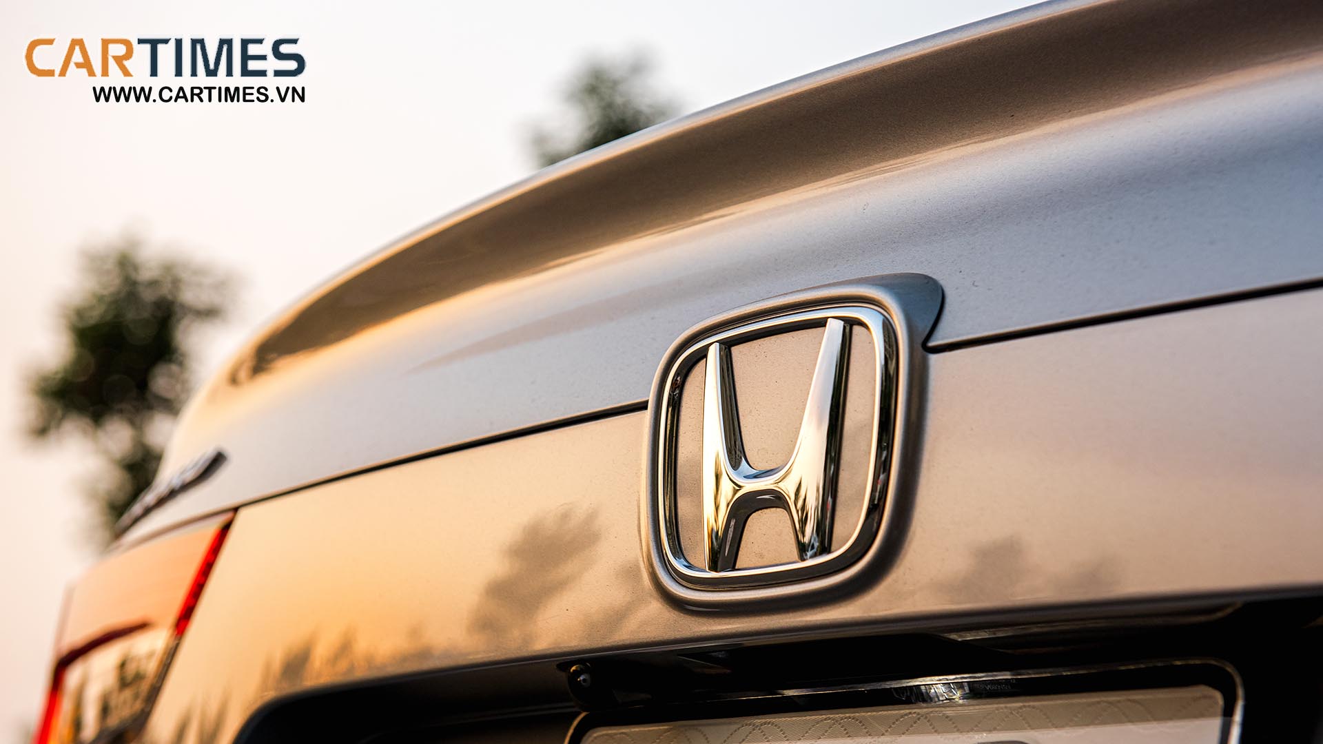 Xe Honda Accord 2020