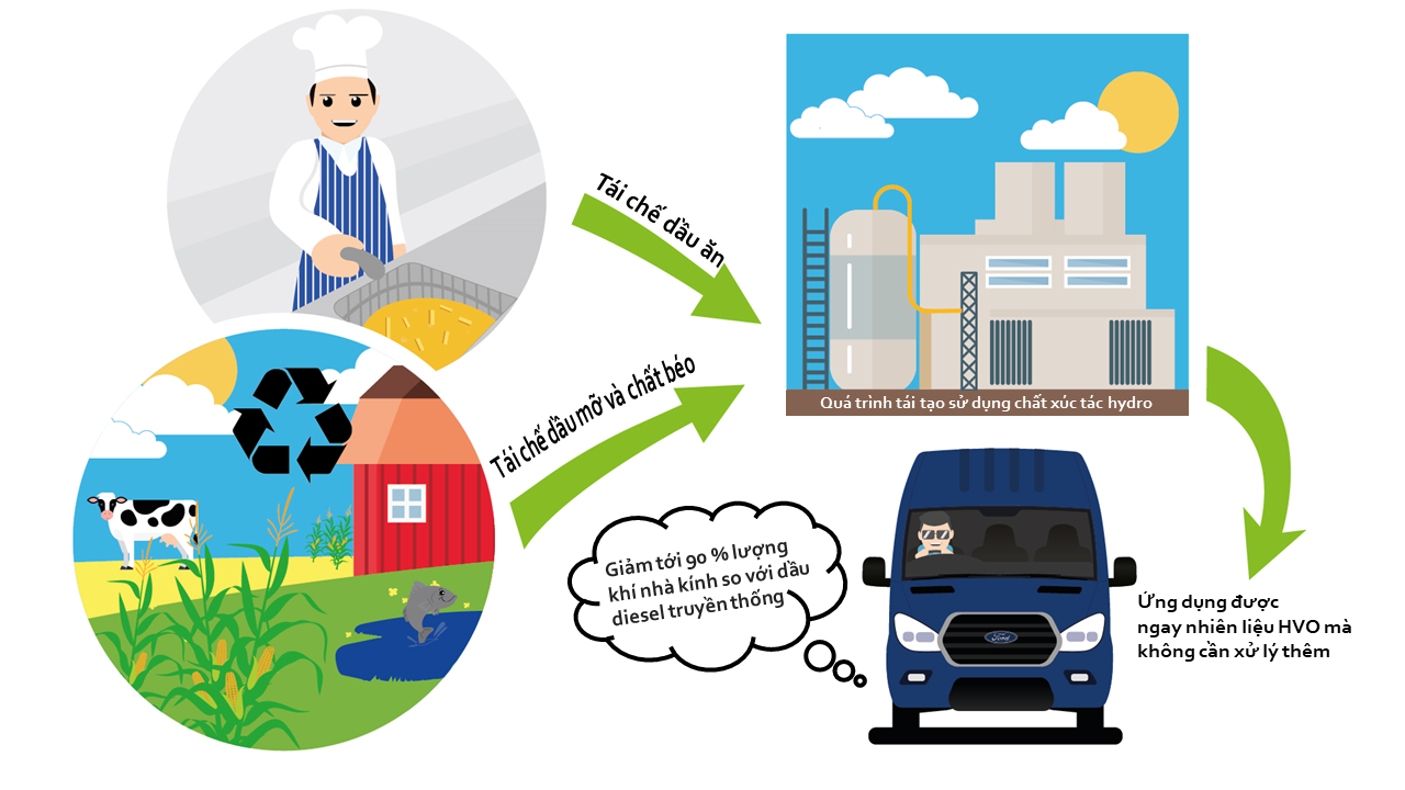 Ford Transit có thể sử dụng dầu thực vật tái sử dụng (Hydrotreated Vegetable Oil - HVO)