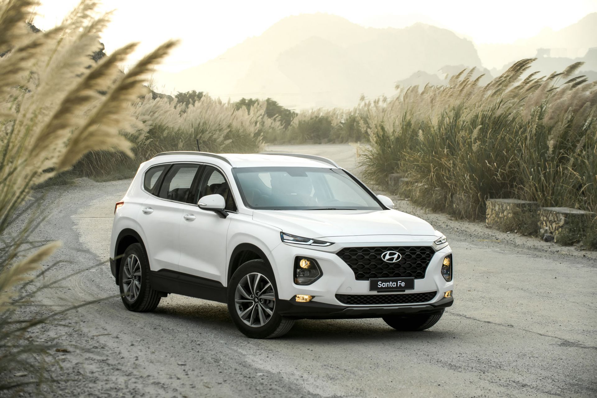 Hyundai cũng đã từng hỗ trợ người mua xe ở những thời điểm kinh tế khó khăn